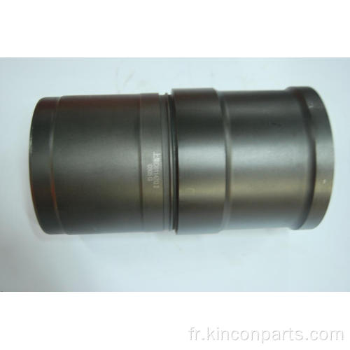 Garnitures de cylindre de moteur D6114ZQ